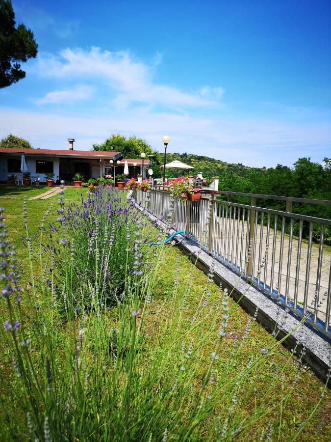 Progetto Vacanze Invorio Inferiore Luaran gambar